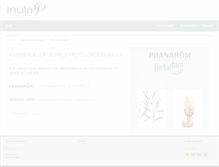 Tablet Screenshot of inula-group.com